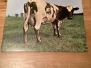 Pink Floyd,atom Heart Mother,shvl 781,1970 ,vinyl Album