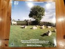 THE KLF 