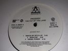 Prodigy*- The Fat Of The Land 2x vinyl
