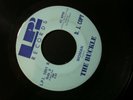THE BUCKLE I'VE GOT SOMETHING ON MY MIND PROMO 45 RECORD WOMAN