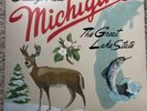 Sufjan Stevens - Michigan - 2X LP Vinyl Record  Vinyl & Cover  Mint Condition