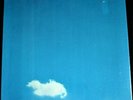 JOHN LENNON & PLASTIC ONO BAND   LIVE PEACE IN TORONTO 1969   SEALED w/ CALENDAR