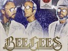 Bee Gees - Timeless The All Time Greatest Hits Exclusive Clear / Blue Vinyl LP