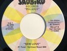 * PEGASUS New Love/God Knows PRIVATE PSYCH GARAGE FUNK BREAKS Sadbird 45 HEAR