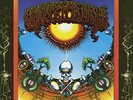 GRATEFUL DEAD - Aoxomoxoa - Rhino 2011 reissue - 1969 mix - vinyl LP Near Mint. 