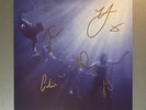 Total Life Forever - FOALS (SIGNED) Vinyl