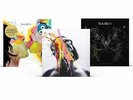 BLAUDZUN: JUPITER TRILOGY [LP vinyl]