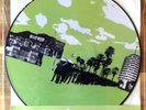 Fear Before the March of Flames - Art Damage Vinyl LP Picture Disc Original