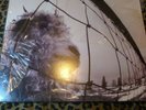 Vs. LP by Pearl Jam Vinyl, 1993, Epic Original Pressing  partially sealed hype