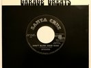 SPIDERS Don't Blow Your Mind RARE LTD REISSUE #308/500 Garage Punk Alice Cooper