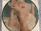 Madonna Vinyl Limited Ed, Numbered Picture Disc Take a Bow/Bedtime Stories NEW