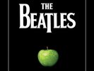 The Beatles Original Studio Recordings collection Vinyl Record OOP