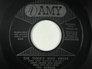 Doo-Wop Novelty 45 - Romeos - The Tiger's Wide Awake - Amy - mp3