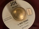DOO WOP THE DO-REYS I LIVE FOR YOUR LOVE / A NEW WORLD JOY 2401 RED