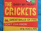 The Crickets (Buddy Holly) 