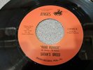 SATAN'S BREED - ROAD RUNNER - NORTEHHRN SOUL