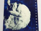 Chapterhouse - Whirlpool LP  Dedicated DEDLP 001 - Original UK Pressing