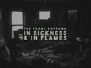 The Front Bottoms - In Sickness & In Flames Vinyl LP Grey Colour 2020 NEW