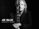 Analog Man by Joe Walsh (Guitar) (Vinyl, May-2012, Fantasy)