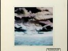 TEENA MARIE 'Wild And Peaceful' 1979 Rare Near Mint Never played Funk Promo LP