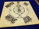 GRATEFUL DEAD Nights Of The Living Dead