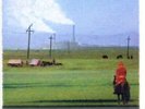 |210652| C.s.i. - Tabula Rasa Elettrificata [LP x 2 Vinile] Nuovo