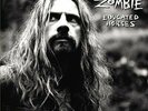 `ZOMBIE,ROB`-EDUCATED HORSES VINYL LP NEW