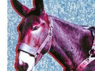PROTOMARTYR ULTIMATE SUCCESS TODAY NEW SEALED LTD COLOURED VINYL LP IN STOCK