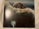 BEYONCE - LEMONADE - double vinyl 2x LP (YELLOW)