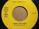 EKOS TROPICALES - CUMBIA CON SABOR   HeAr  IT   Sonidera ORGAN SYNTH dancefloor