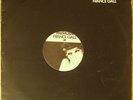 maxi 45t france gall - musique - promo - pro75 1977