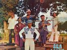 SEA LIONS Free The People LP NEW VINYL Jet Records reissue afro reggae