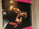 BRUCE SPRINGSTEEN - Simply, The Best Gig Vol 2 Very Rare 2LP Vinyl *Rare*