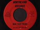 BLUE HAZE WITH BIG Z: blue haze blues / he NORTHLAND 7