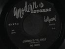 CADETS: stranded in the jungle / i want you MODERN 7