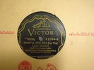 VINTAGE VINYL 78 SHELLAC JOHNNY HAMP'S KENTUCKY SERENADERS WHAT'LL YOU DO? 21084