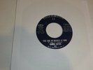 Charen Cotten  Northern Soul 45 A Little Bit Of Love on Philomega from 1973 VG+