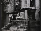 GEORGE BRIGMAN: jungle rot SOLID 12
