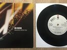 FOO FIGHTERS / WEEN - Walking After You 7