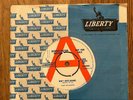 The Crickets - Don't Ever Change - Liberty Demo LIB55441 NMint