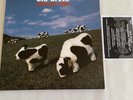 DIE ÄRZTE - SATANISCHE PFERDE LP red wax Vinyl ONLY 100 COPIES