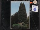 JOHN FOXX: the garden Virgin 12