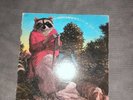 JJ CALE NATURALLY VINYL LP SHELTER LABEL