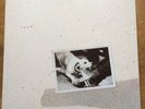 fleetwood mac. tusk. vinyl
