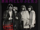 NAMELOSERS: fabulous sounds from southern sweden Got To Hurry 12