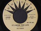 ROBINS: it's never too late / a little bird told me Knight (2) 7