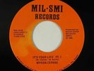 Sweet Soul 45 - Myron Cephas - It's Your Life - Mil-Smi - mp3