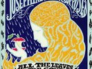 FOSTER, Josephine/THE SUPPOSED - All The Leaves Are Gone - Vinyl (LP)