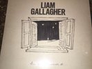 Liam Gallagher All You're Dreaming Of Red Vinyl 7