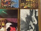 Sonic Youth: Sister